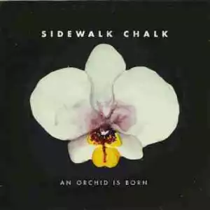 An Orchid Is Born BY Sidewalk Chalk